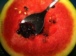 带你吃瓜奇葩酒店,带你领略“带你吃瓜”奇葩酒店的独特魅力