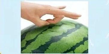 夏日吃瓜必看选瓜攻略,轻松挑出最佳夏日消暑神器