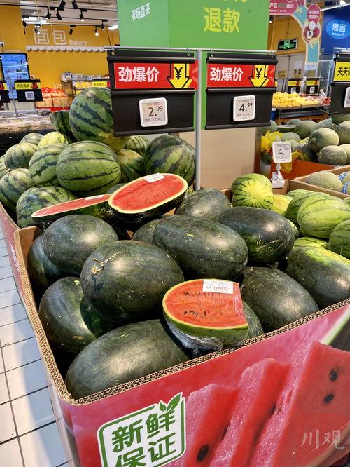 各个城市的吃瓜,一瓜一世界，品味各地风情